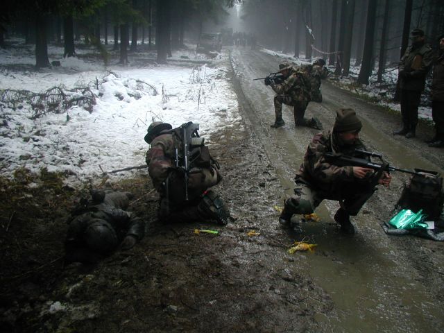Bildgröße auf die Monitorauflösung (640x480 px) optimiert