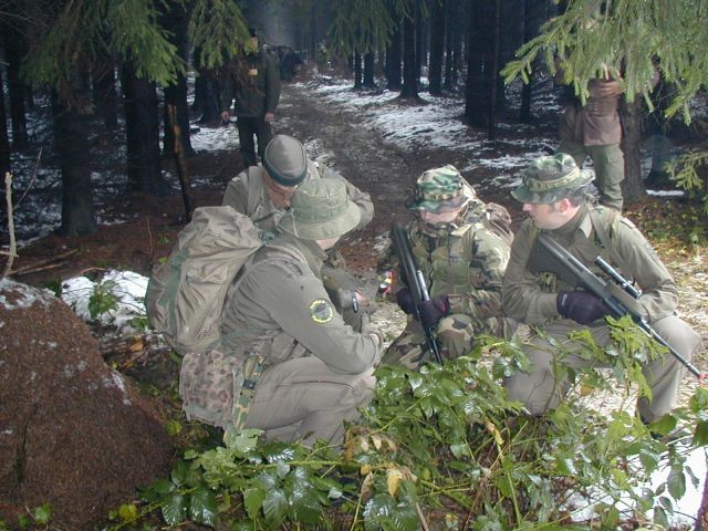 Bildgröße auf die Monitorauflösung (640x480 px) optimiert