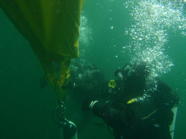 Bildgröße auf die Monitorauflösung (640x480 px) optimiert