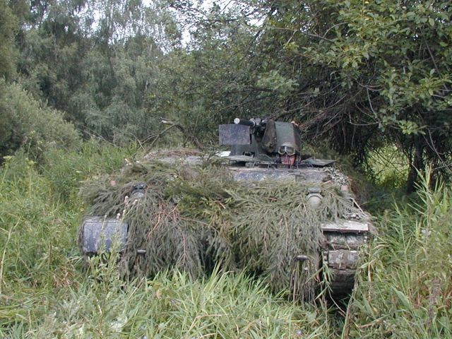 Bildgr&ouml;&szlig;e auf die Monitoraufl&ouml;sung (640x480 px) optimiert