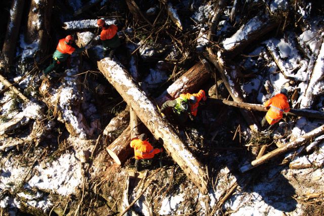 Bildgröße auf die Monitorauflösung (640x480 px) optimiert