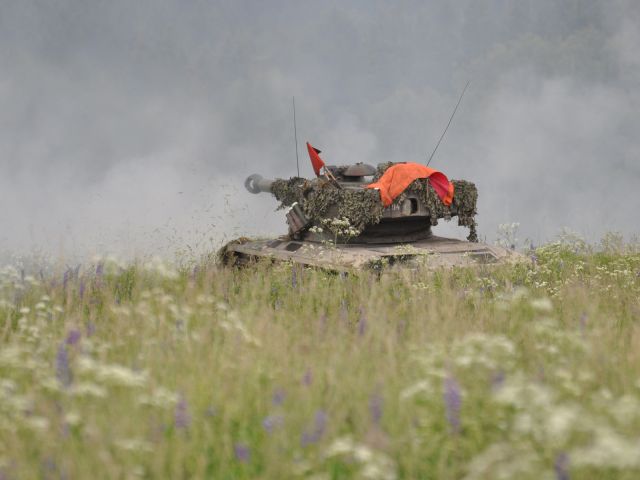 Bildgr&ouml;&szlig;e auf die Monitoraufl&ouml;sung (640x480 px) optimiert