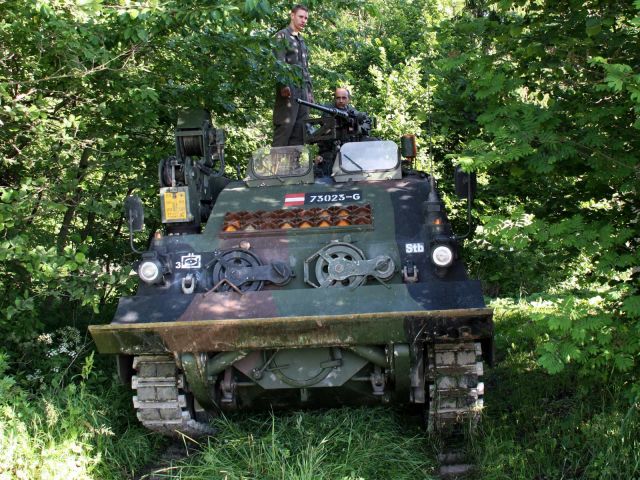 Bildgröße auf die Monitorauflösung (640x480 px) optimiert