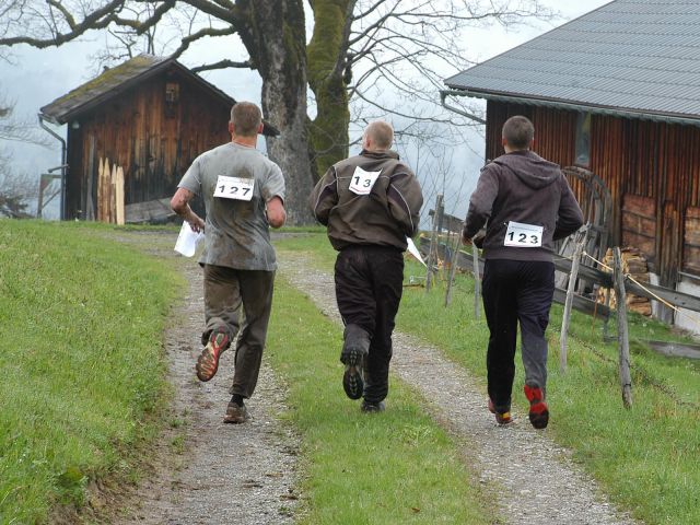 Bildgröße auf die Monitorauflösung (640x480 px) optimiert