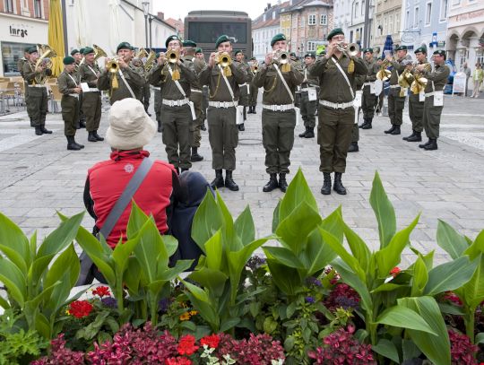 Bildgröße auf die Monitorauflösung (640x480 px) optimiert