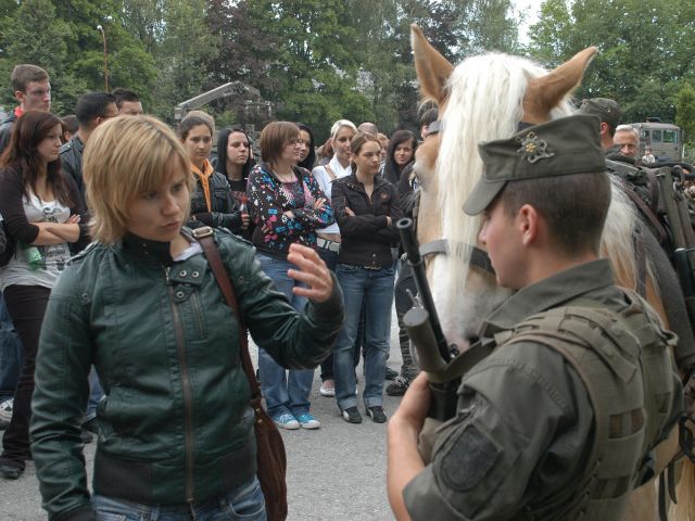 Bildgröße auf die Monitorauflösung (640x480 px) optimiert