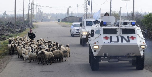 Bildgr&ouml;&szlig;e auf die Monitoraufl&ouml;sung (640x480 px) optimiert