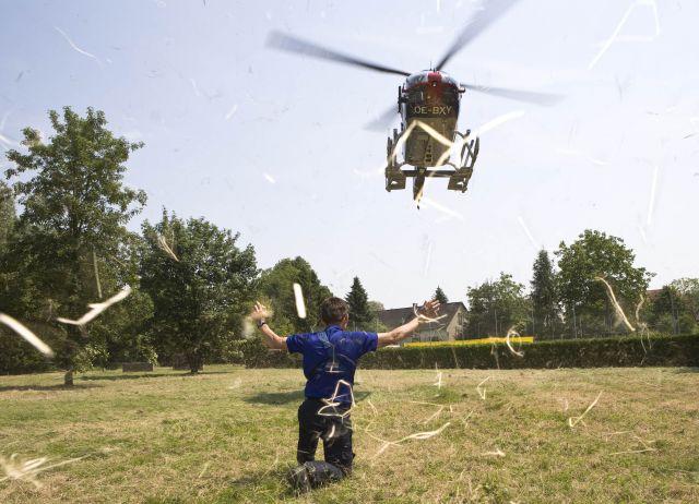 Bildgr&ouml;&szlig;e auf die Monitoraufl&ouml;sung (640x480 px) optimiert