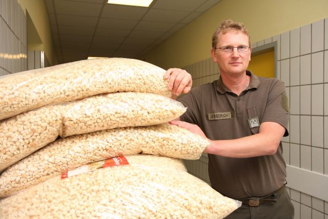 Bildgr&ouml;&szlig;e auf die Monitoraufl&ouml;sung (640x480 px) optimiert