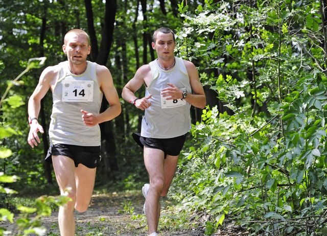 Bildgröße auf die Monitorauflösung (640x480 px) optimiert