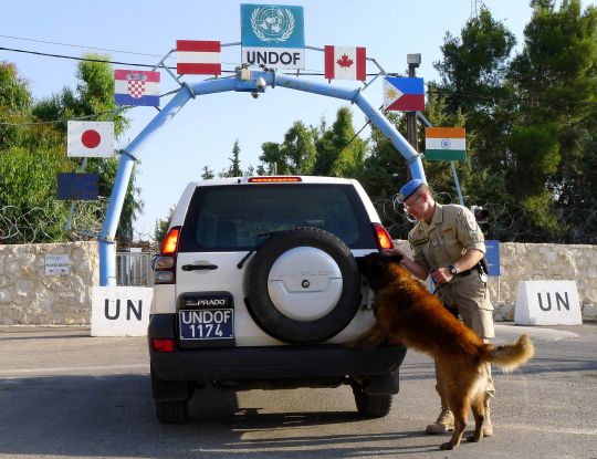 Bildgr&ouml;&szlig;e auf die Monitoraufl&ouml;sung (640x480 px) optimiert