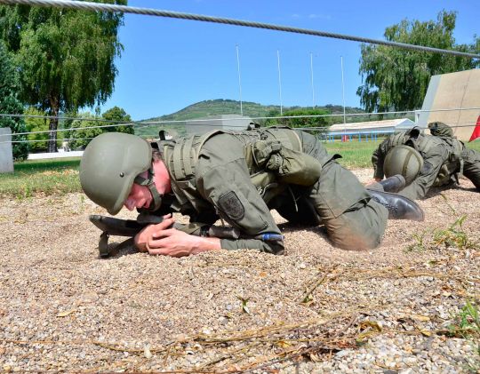 Bildgr&ouml;&szlig;e auf die Monitoraufl&ouml;sung (640x480 px) optimiert