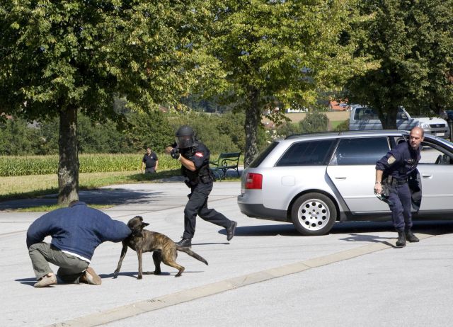 Bildgr&ouml;&szlig;e auf die Monitoraufl&ouml;sung (640x480 px) optimiert