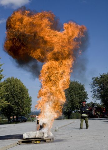 Bildgröße auf die Monitorauflösung (640x480 px) optimiert