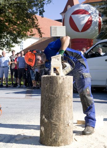 Bildgröße auf die Monitorauflösung (640x480 px) optimiert