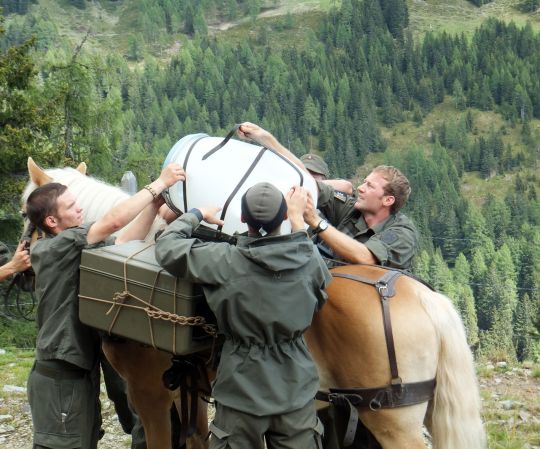 Bildgr&ouml;&szlig;e auf die Monitoraufl&ouml;sung (640x480 px) optimiert