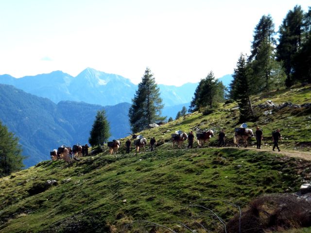 Bildgröße auf die Monitorauflösung (640x480 px) optimiert