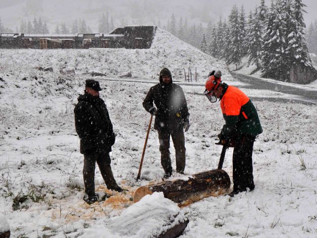 Bildgröße auf die Monitorauflösung (640x480 px) optimiert