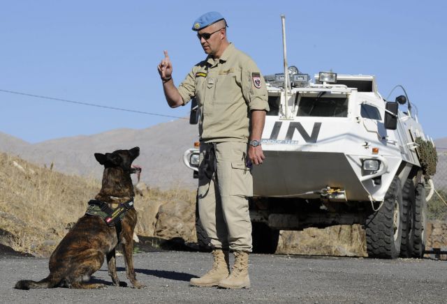 Bildgr&ouml;&szlig;e auf die Monitoraufl&ouml;sung (640x480 px) optimiert