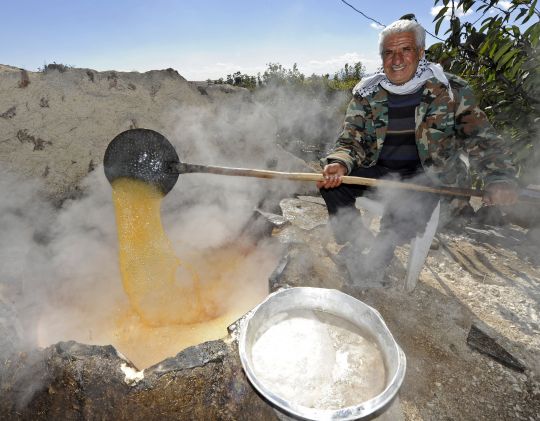 Bildgr&ouml;&szlig;e auf die Monitoraufl&ouml;sung (640x480 px) optimiert