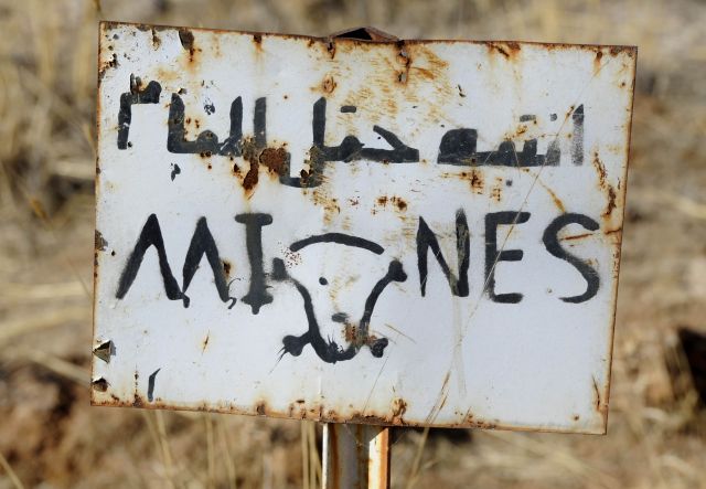 Bildgr&ouml;&szlig;e auf die Monitoraufl&ouml;sung (640x480 px) optimiert