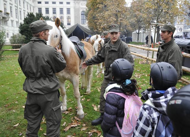 Bildgröße auf die Monitorauflösung (640x480 px) optimiert