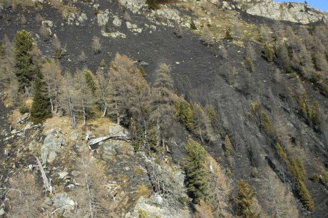 Bildgröße auf die Monitorauflösung (640x480 px) optimiert