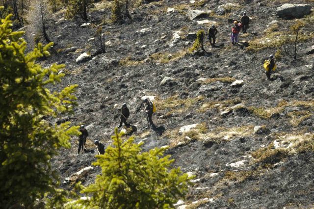 Bildgröße auf die Monitorauflösung (640x480 px) optimiert