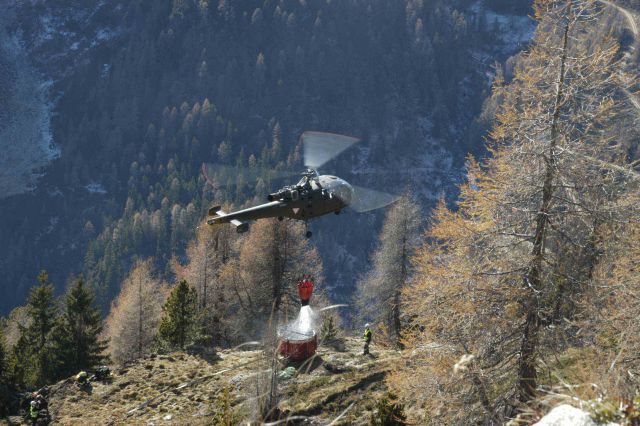 Bildgröße auf die Monitorauflösung (640x480 px) optimiert