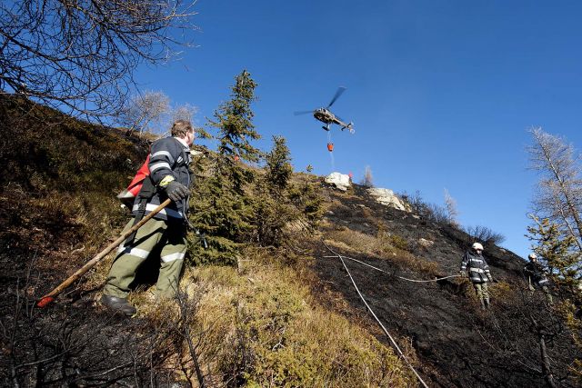 Bildgr&ouml;&szlig;e auf die Monitoraufl&ouml;sung (640x480 px) optimiert