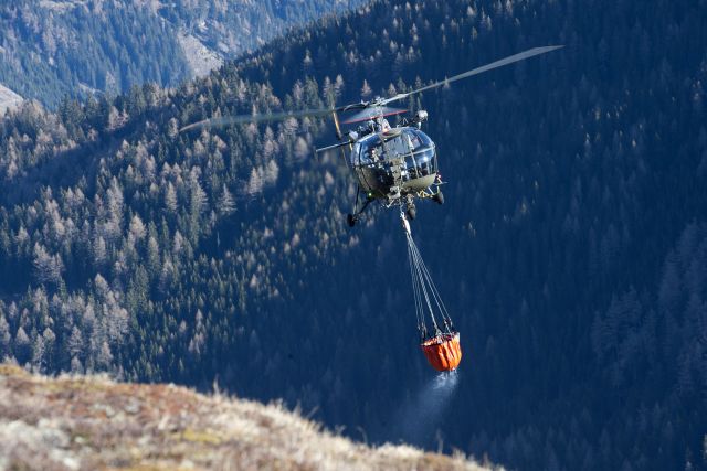 Bildgr&ouml;&szlig;e auf die Monitoraufl&ouml;sung (640x480 px) optimiert