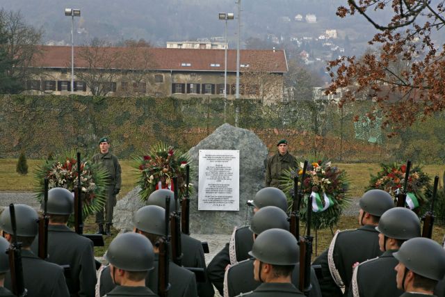 Bildgröße auf die Monitorauflösung (640x480 px) optimiert