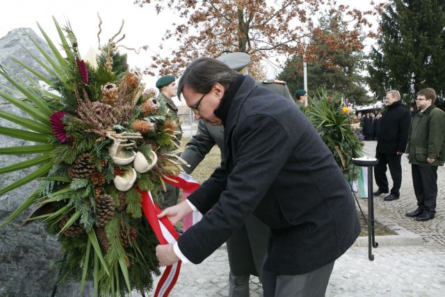 Bildgröße auf die Monitorauflösung (640x480 px) optimiert