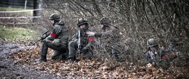 Bildgr&ouml;&szlig;e auf die Monitoraufl&ouml;sung (640x480 px) optimiert