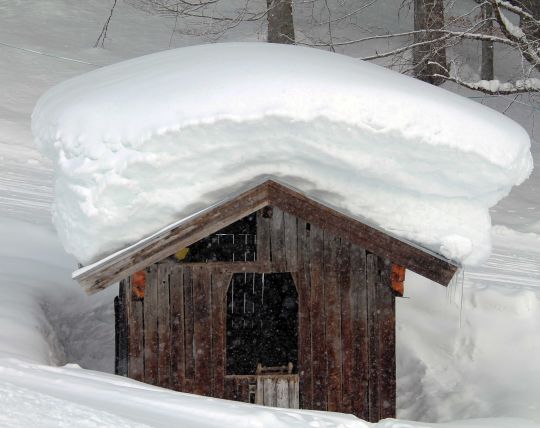 Bildgröße auf die Monitorauflösung (640x480 px) optimiert