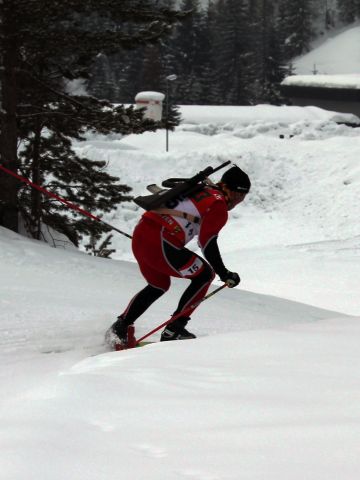 Bildgröße auf die Monitorauflösung (640x480 px) optimiert