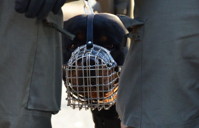 Bildgr&ouml;&szlig;e auf die Monitoraufl&ouml;sung (640x480 px) optimiert