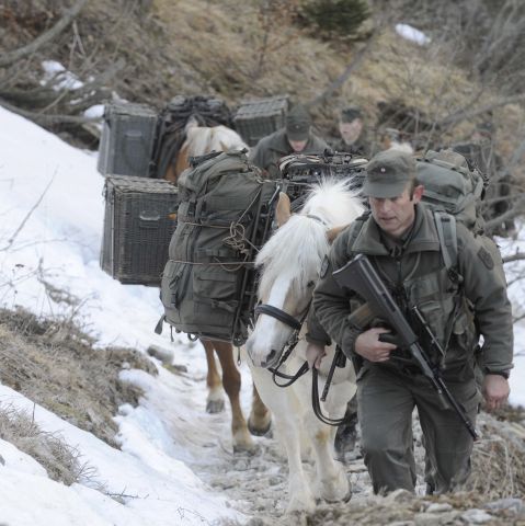 Bildgröße auf die Monitorauflösung (640x480 px) optimiert