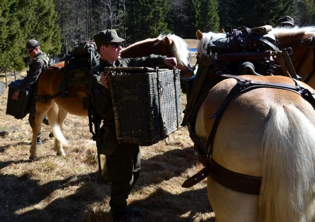 Bildgröße auf die Monitorauflösung (640x480 px) optimiert