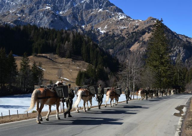 Bildname: 20120314_143801.jpg, momentane Bildgröße: 640x454 px Bildgröße auf die Monitorauflösung (640x480 px) optimiert