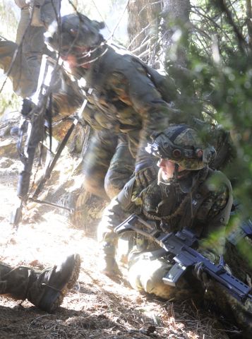 Bildgr&ouml;&szlig;e auf die Monitoraufl&ouml;sung (640x480 px) optimiert