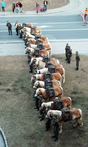 Bildgröße auf die Monitorauflösung (640x480 px) optimiert