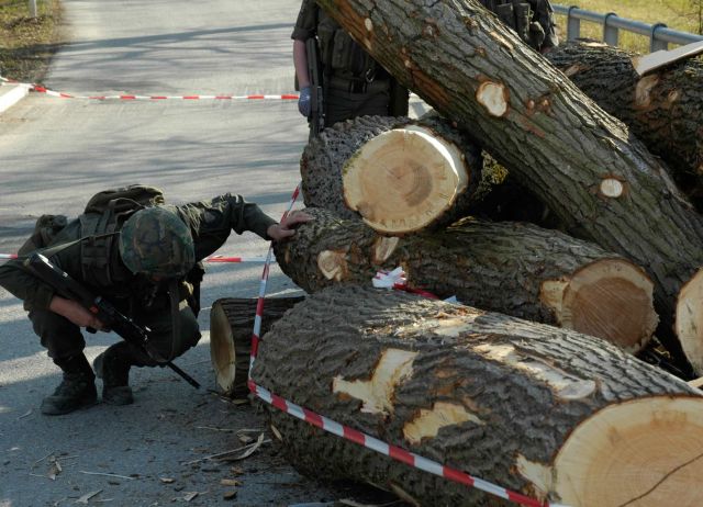 Bildgr&ouml;&szlig;e auf die Monitoraufl&ouml;sung (640x480 px) optimiert