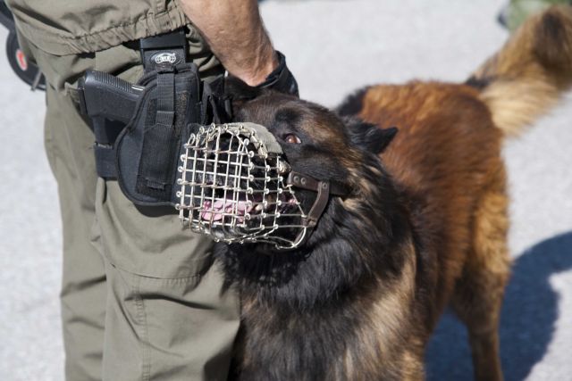 Bildgr&ouml;&szlig;e auf die Monitoraufl&ouml;sung (640x480 px) optimiert