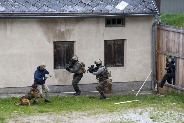 Bildgr&ouml;&szlig;e auf die Monitoraufl&ouml;sung (640x480 px) optimiert