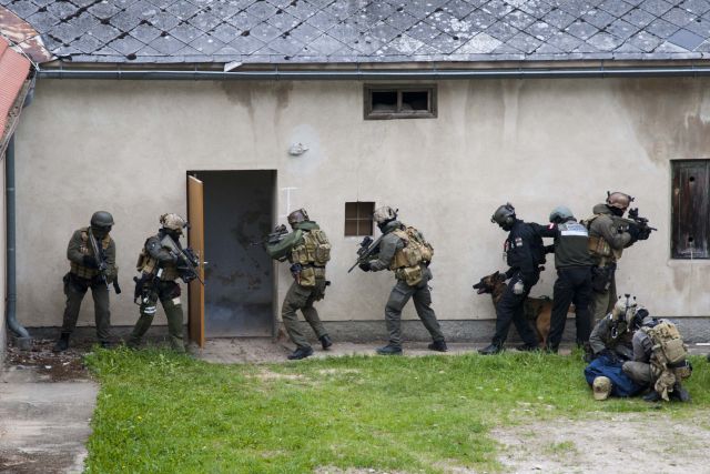Bildgröße auf die Monitorauflösung (640x480 px) optimiert