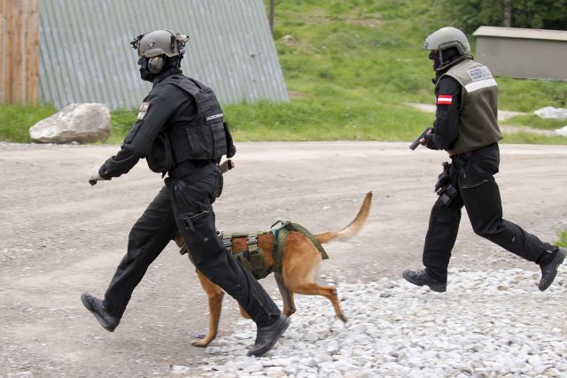 Bildgr&ouml;&szlig;e auf die Monitoraufl&ouml;sung (640x480 px) optimiert