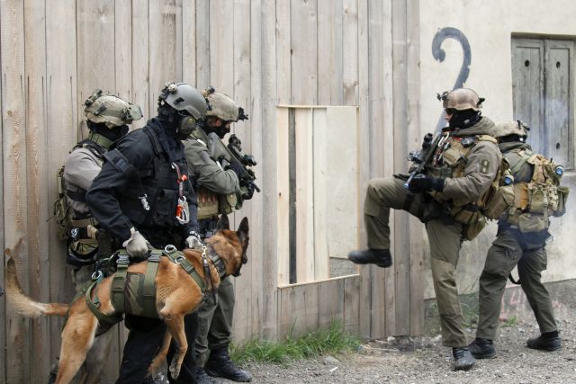 Bildgr&ouml;&szlig;e auf die Monitoraufl&ouml;sung (640x480 px) optimiert