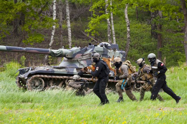 Bildgr&ouml;&szlig;e auf die Monitoraufl&ouml;sung (640x480 px) optimiert