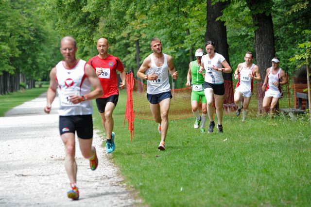 Bildgröße auf die Monitorauflösung (640x480 px) optimiert